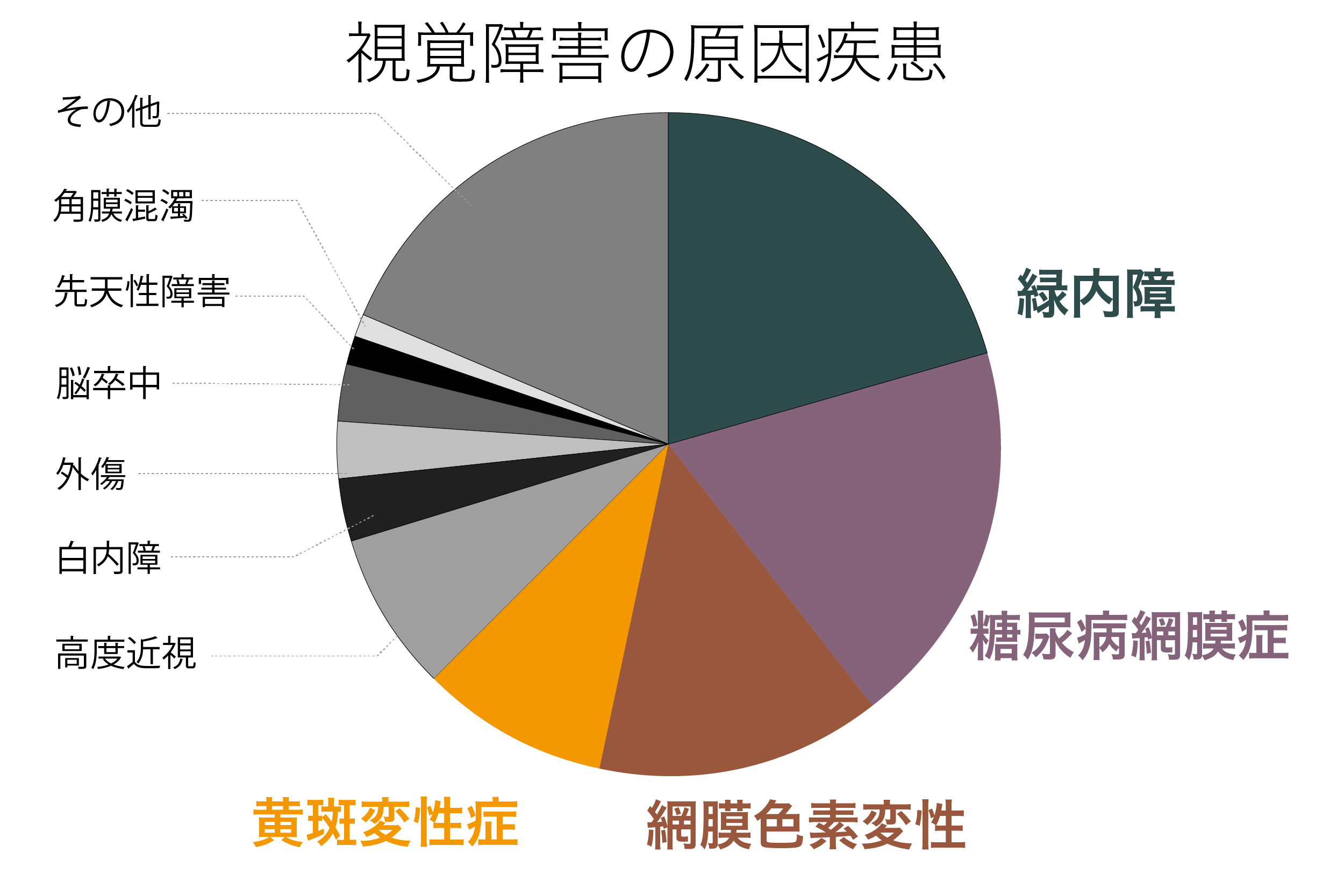 緑内障の眼底写真